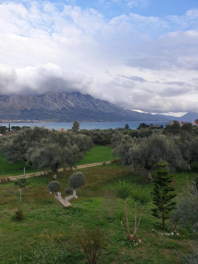 Pogonia Panorama Apartment Palairos Bagian luar foto